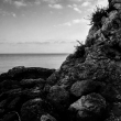 OLTRE LO SCOGLIO, SICILIA