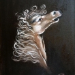 Testa-D-cavallo_-oil-on-canvasboard_-cm-24x30