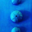 Collage-con-acrilico-periodo-blu